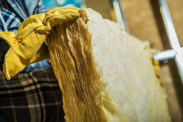 Best Insulation Maintenance and Repair in Buffalo, MO